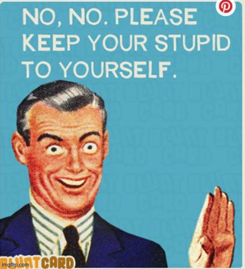NO, NO. PLEASE KEEP YOUR STUPID TO YOURSELF. | image tagged in no no please keep your stupid to yourself | made w/ Imgflip meme maker