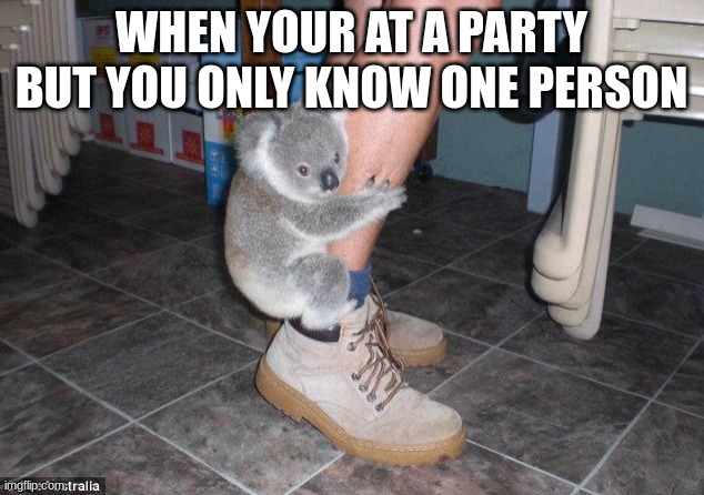 Koala hanging on a leg. What will do? | WHEN YOUR AT A PARTY BUT YOU ONLY KNOW ONE PERSON | image tagged in koala leg | made w/ Imgflip meme maker