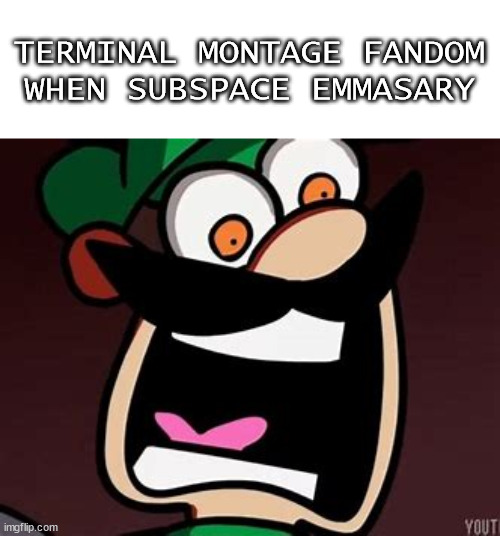 Luigi scream |  TERMINAL MONTAGE FANDOM WHEN SUBSPACE EMMASARY | image tagged in memes,two buttons | made w/ Imgflip meme maker