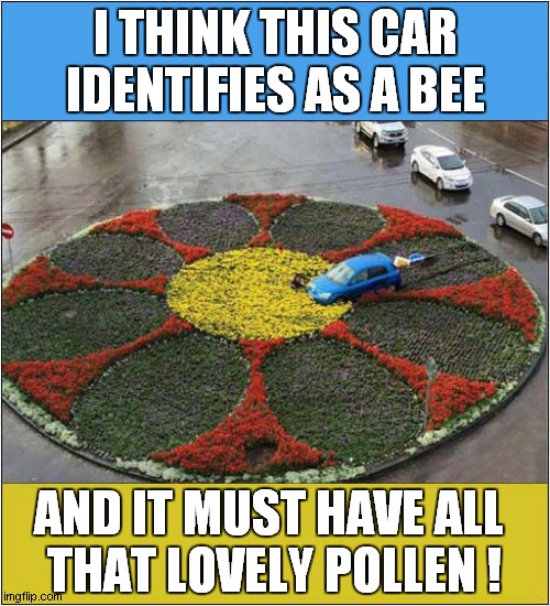 An Explanation Of An Accident | I THINK THIS CAR IDENTIFIES AS A BEE; AND IT MUST HAVE ALL 
THAT LOVELY POLLEN ! | image tagged in fun,car accident,bee,pollen | made w/ Imgflip meme maker