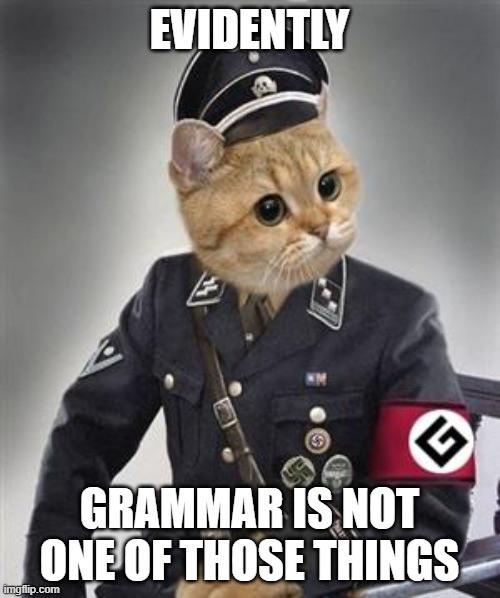 Grammar Nazi Cat | EVIDENTLY GRAMMAR IS NOT ONE OF THOSE THINGS | image tagged in grammar nazi cat | made w/ Imgflip meme maker