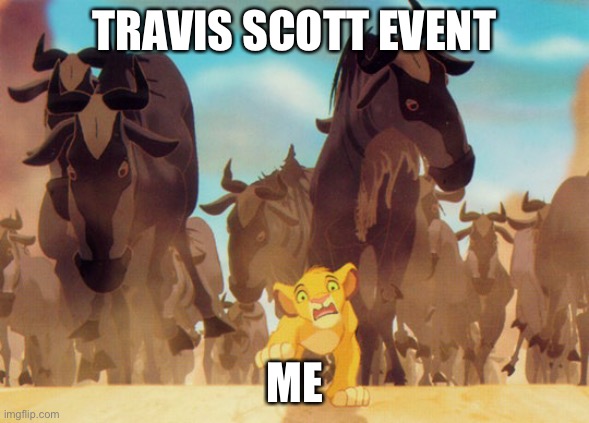 Lion King Stampede | TRAVIS SCOTT EVENT; ME | image tagged in lion king stampede | made w/ Imgflip meme maker