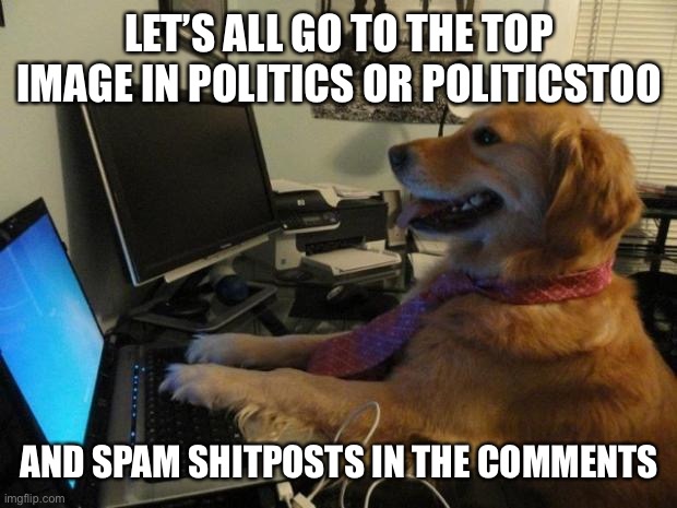 Dog behind a computer | LET’S ALL GO TO THE TOP IMAGE IN POLITICS OR POLITICSTOO; AND SPAM SHITPOSTS IN THE COMMENTS | image tagged in dog behind a computer | made w/ Imgflip meme maker