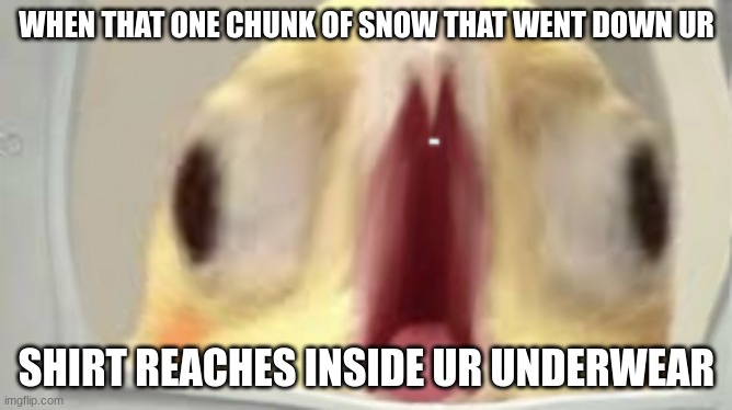 true | WHEN THAT ONE CHUNK OF SNOW THAT WENT DOWN UR; SHIRT REACHES INSIDE UR UNDERWEAR | image tagged in truth | made w/ Imgflip meme maker