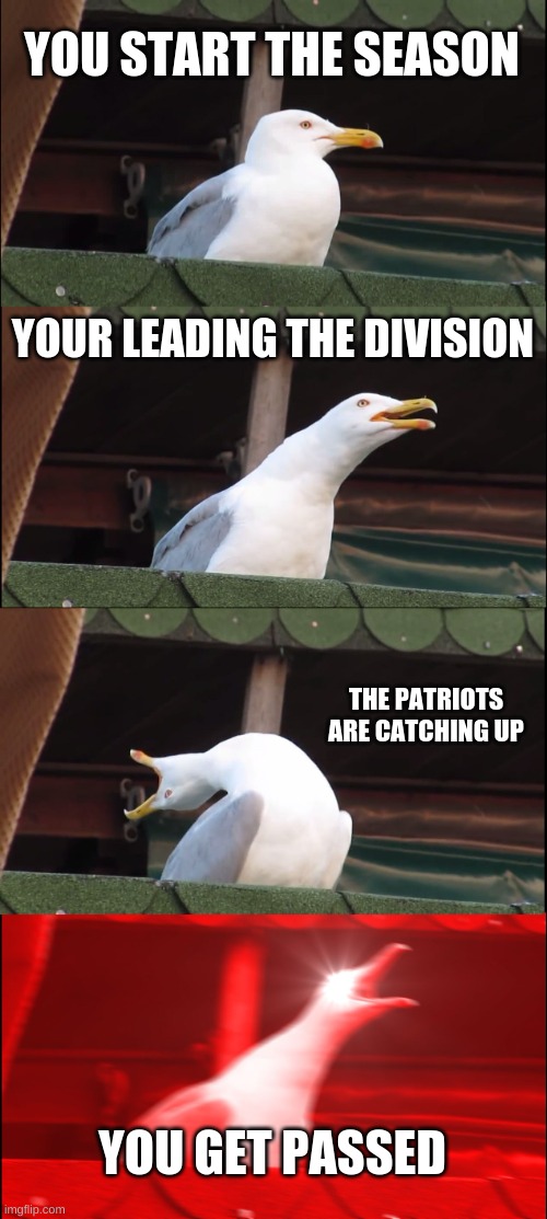 Bills slander | YOU START THE SEASON; YOUR LEADING THE DIVISION; THE PATRIOTS ARE CATCHING UP; YOU GET PASSED | image tagged in memes,inhaling seagull | made w/ Imgflip meme maker