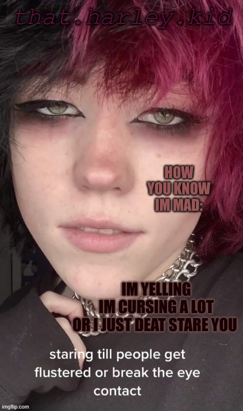 friend requested i do this | HOW YOU KNOW IM MAD:; IM YELLING
IM CURSING A LOT
OR I JUST DEAT STARE YOU | image tagged in harley temp | made w/ Imgflip meme maker
