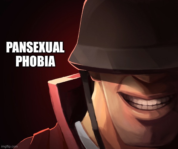 Ha | PANSEXUAL PHOBIA | image tagged in soldier custom phobia | made w/ Imgflip meme maker