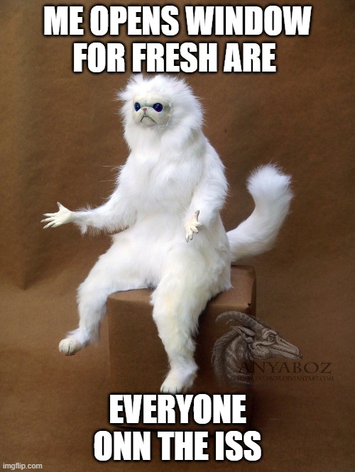 Persian Cat Room Guardian Single | ME OPENS WINDOW FOR FRESH ARE; EVERYONE ONN THE ISS | image tagged in memes,persian cat room guardian single | made w/ Imgflip meme maker