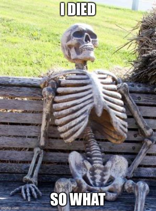 Waiting Skeleton | I DIED; SO WHAT | image tagged in memes,waiting skeleton | made w/ Imgflip meme maker