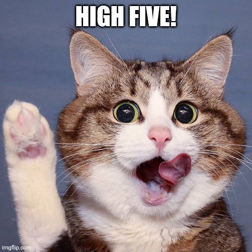Cat raising paw | HIGH FIVE! | image tagged in cat raising paw | made w/ Imgflip meme maker