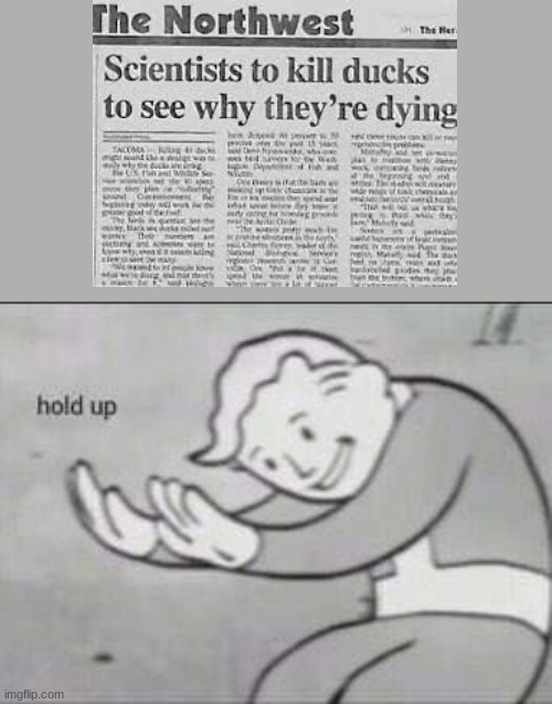 what the.. | image tagged in fallout hold up | made w/ Imgflip meme maker