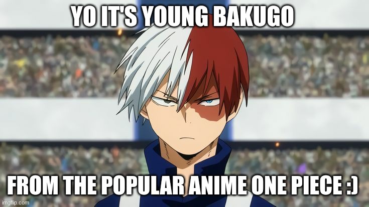 I see no issues here... | YO IT'S YOUNG BAKUGO; FROM THE POPULAR ANIME ONE PIECE :) | image tagged in memes,young bakugo,gay | made w/ Imgflip meme maker