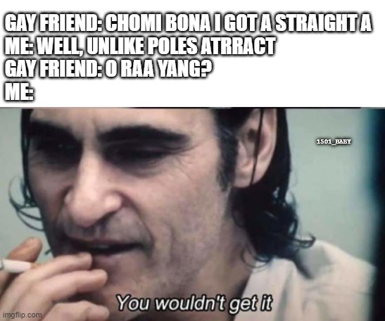 not at all | GAY FRIEND: CHOMI BONA I GOT A STRAIGHT A
ME: WELL, UNLIKE POLES ATRRACT
GAY FRIEND: O RAA YANG?
ME:; 1501_BABY | image tagged in you wouldnt get it | made w/ Imgflip meme maker