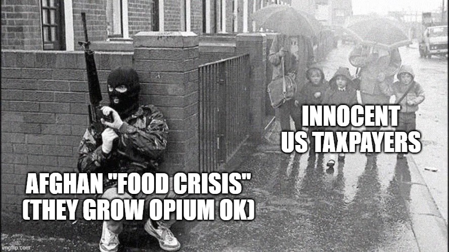 Just make it the 51st state | INNOCENT US TAXPAYERS; AFGHAN "FOOD CRISIS" (THEY GROW OPIUM OK) | image tagged in memes,afghanistan,so we have been feeding em for 20 yrs | made w/ Imgflip meme maker