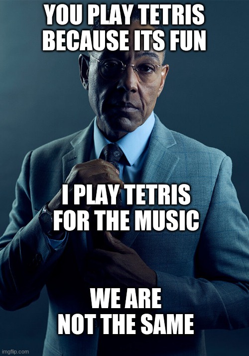we are not the same |  YOU PLAY TETRIS BECAUSE ITS FUN; I PLAY TETRIS FOR THE MUSIC; WE ARE NOT THE SAME | image tagged in gus fring we are not the same,tetris,music,fun,funny,barney will eat all of your delectable biscuits | made w/ Imgflip meme maker