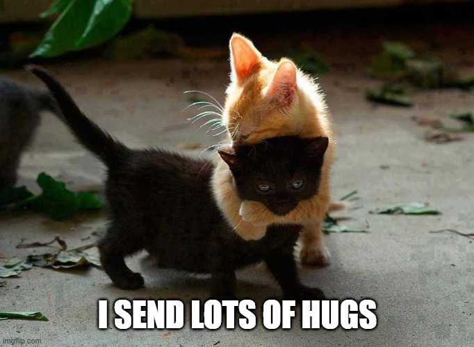 kitten hug | I SEND LOTS OF HUGS | image tagged in kitten hug | made w/ Imgflip meme maker