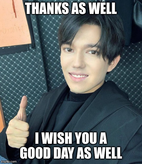 dimash thumbs up | THANKS AS WELL I WISH YOU A GOOD DAY AS WELL | image tagged in dimash thumbs up | made w/ Imgflip meme maker
