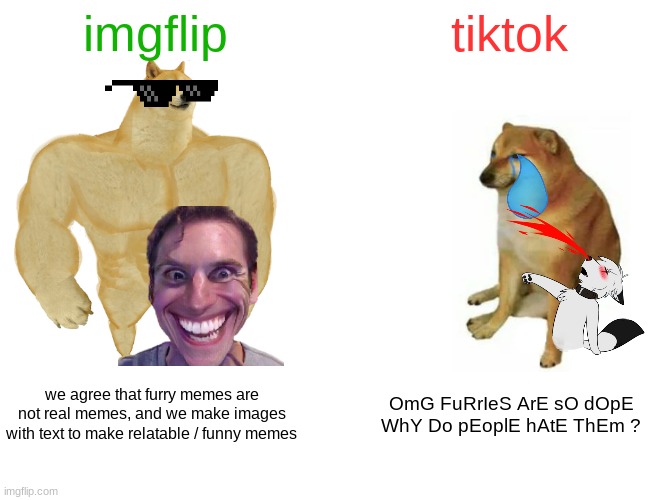 imgfip vs tik toc | imgflip; tiktok; we agree that furry memes are not real memes, and we make images with text to make relatable / funny memes; OmG FuRrIeS ArE sO dOpE WhY Do pEoplE hAtE ThEm ? | image tagged in memes,buff doge vs cheems | made w/ Imgflip meme maker