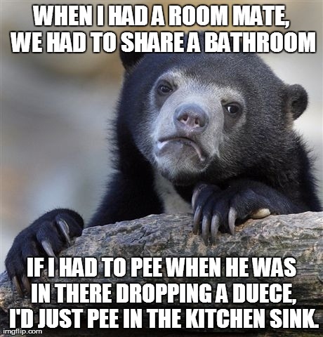 He took forever to drop a duece... | WHEN I HAD A ROOM MATE, WE HAD TO SHARE A BATHROOM IF I HAD TO PEE WHEN HE WAS IN THERE DROPPING A DUECE, I'D JUST PEE IN THE KITCHEN SINK. | image tagged in memes,confession bear,room mates,fails,gross | made w/ Imgflip meme maker