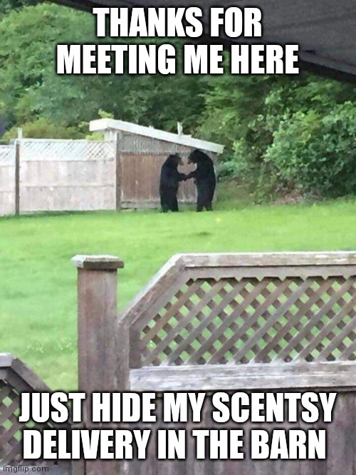 Bears meeting by the barn | THANKS FOR MEETING ME HERE; JUST HIDE MY SCENTSY DELIVERY IN THE BARN | image tagged in funny memes | made w/ Imgflip meme maker