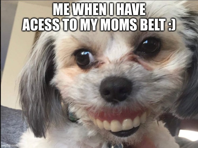 DoG | ME WHEN I HAVE ACESS TO MY MOMS BELT :) | image tagged in dog,momma,kidsminds | made w/ Imgflip meme maker