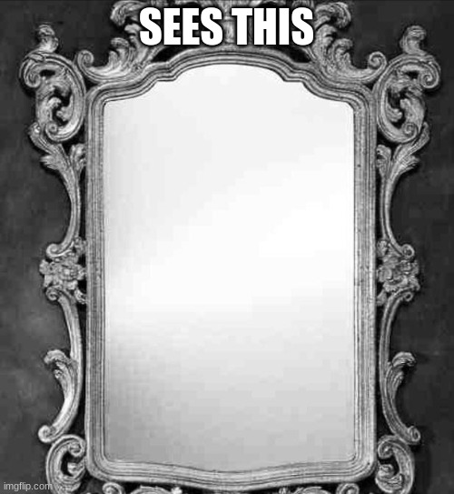 Mirror | SEES THIS | image tagged in mirror | made w/ Imgflip meme maker
