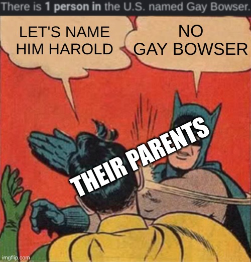 Child | NO GAY BOWSER; LET'S NAME HIM HAROLD; THEIR PARENTS | image tagged in memes,funny,child,holy cow | made w/ Imgflip meme maker