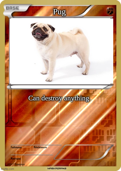 Pug card | Pug; Can destroy anything. | image tagged in pokemon card | made w/ Imgflip meme maker