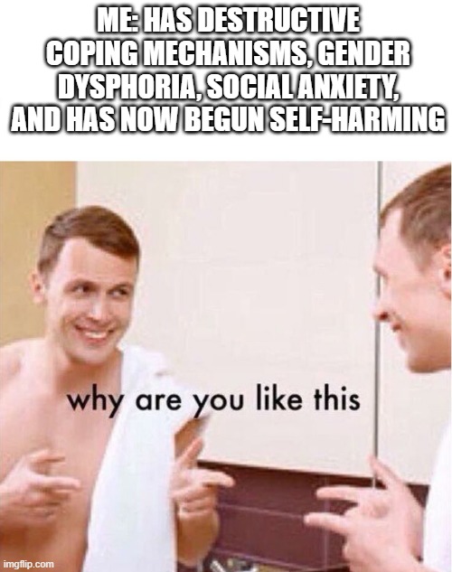 why are you like this | ME: HAS DESTRUCTIVE COPING MECHANISMS, GENDER DYSPHORIA, SOCIAL ANXIETY, AND HAS NOW BEGUN SELF-HARMING | image tagged in why are you like this | made w/ Imgflip meme maker