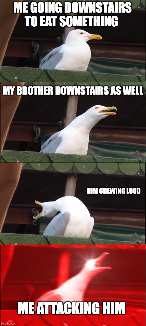 Annoying brother | ME GOING DOWNSTAIRS TO EAT SOMETHING; MY BROTHER DOWNSTAIRS AS WELL; HIM CHEWING LOUD; ME ATTACKING HIM | image tagged in memes,inhaling seagull | made w/ Imgflip meme maker