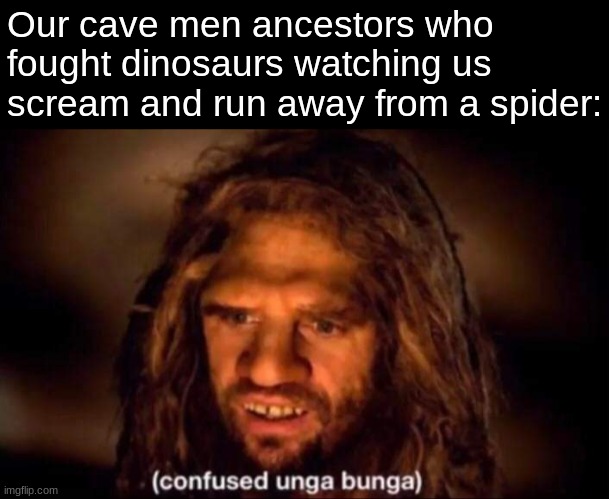 l | Our cave men ancestors who fought dinosaurs watching us scream and run away from a spider: | image tagged in confused unga bunga | made w/ Imgflip meme maker
