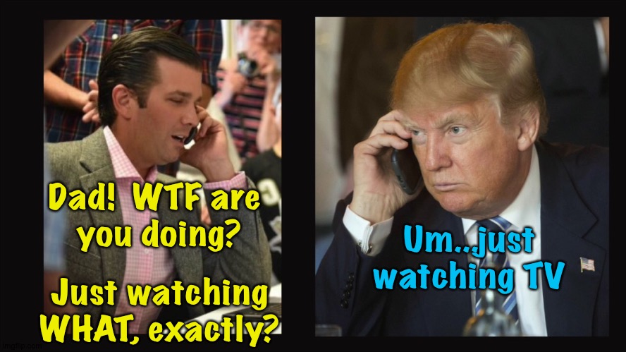 Dad!  WTF are 
you doing? Um...just watching TV Just watching
WHAT, exactly? | made w/ Imgflip meme maker
