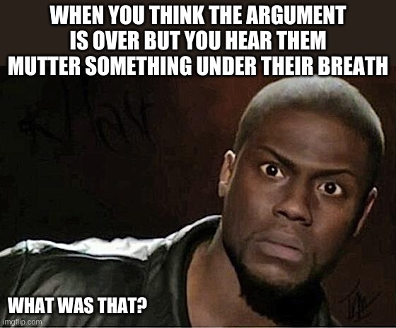 Hmm | WHEN YOU THINK THE ARGUMENT IS OVER BUT YOU HEAR THEM MUTTER SOMETHING UNDER THEIR BREATH; WHAT WAS THAT? | image tagged in memes,kevin hart,arguments,excuse me what | made w/ Imgflip meme maker