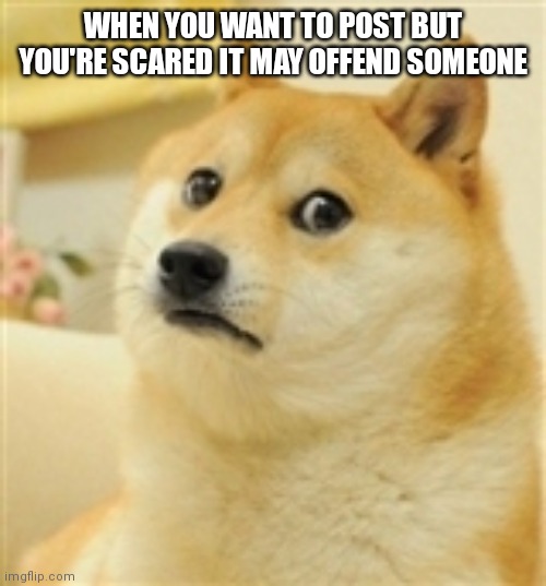 Sad Doge | WHEN YOU WANT TO POST BUT YOU'RE SCARED IT MAY OFFEND SOMEONE | image tagged in sad doge | made w/ Imgflip meme maker