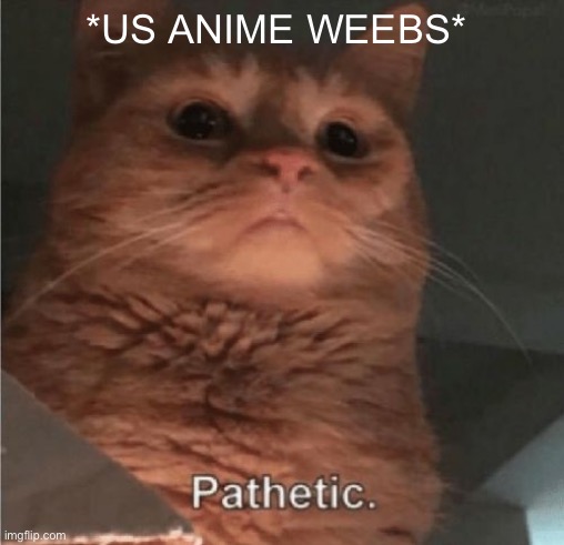 Pathetic Cat | *US ANIME WEEBS* | image tagged in pathetic cat | made w/ Imgflip meme maker
