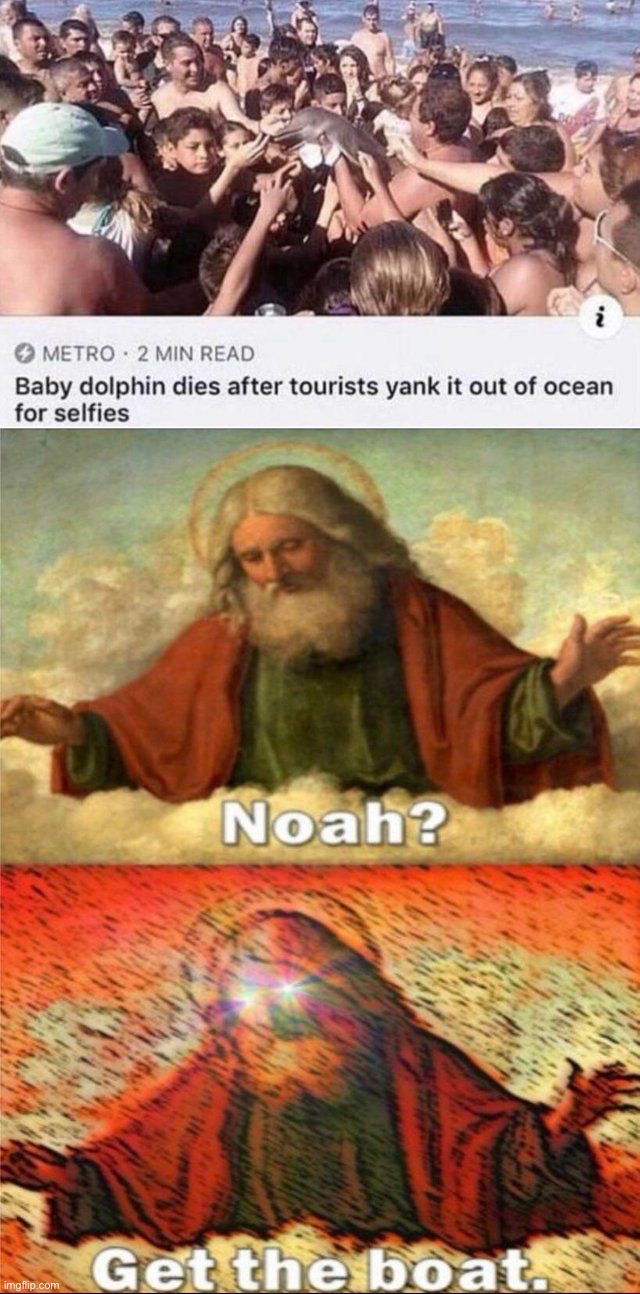 That poor dolphin :((( | image tagged in memes,sad,dolphin,stupid tourists | made w/ Imgflip meme maker