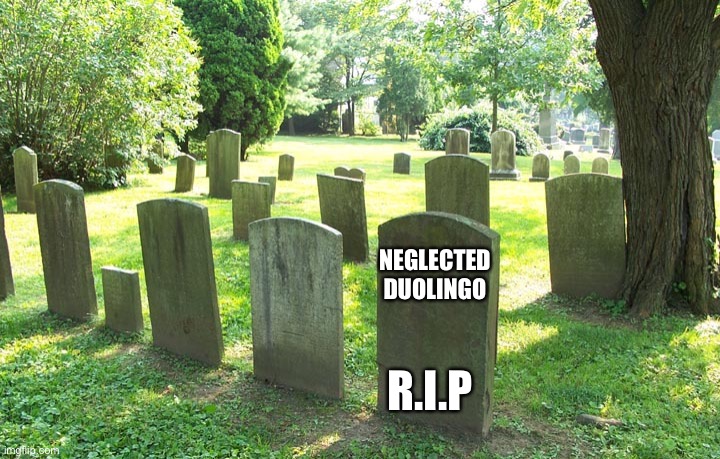Cemetery | NEGLECTED DUOLINGO R.I.P | image tagged in cemetery | made w/ Imgflip meme maker