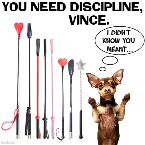 Don't beat little dogs —even if they like it! | YOU NEED DISCIPLINE,
         VINCE. I DIDN'T
KNOW YOU
 MEANT... | image tagged in vince vance,discipline,help,domination,memes,dogs | made w/ Imgflip meme maker