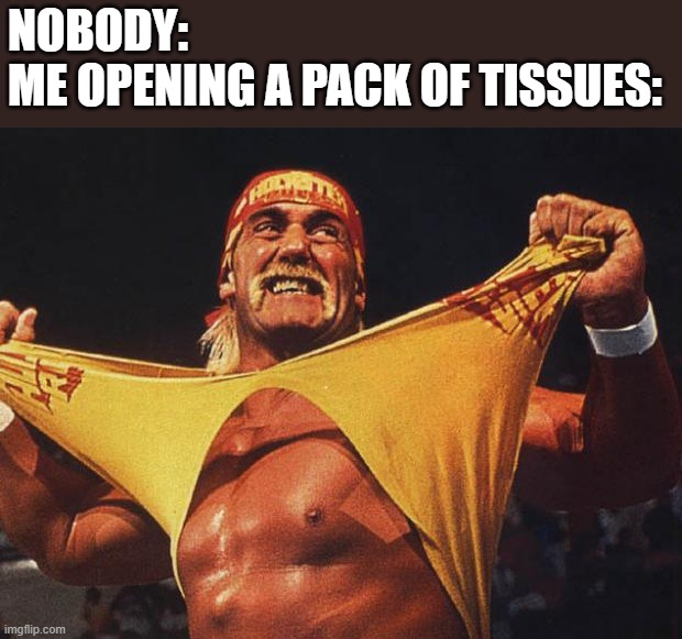 me opening a pack of tissues |  NOBODY:
ME OPENING A PACK OF TISSUES: | image tagged in hulk hogan,tissue,opening,nobody,meme | made w/ Imgflip meme maker