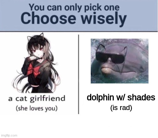 Choose wisely |  dolphin w/ shades; (is rad) | image tagged in choose wisely | made w/ Imgflip meme maker