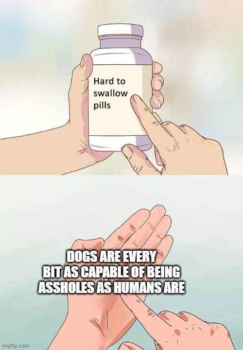 This is speaking from personal experience. | DOGS ARE EVERY BIT AS CAPABLE OF BEING ASSHOLES AS HUMANS ARE | image tagged in memes,hard to swallow pills | made w/ Imgflip meme maker