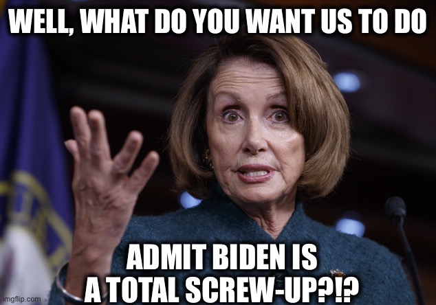 Good old Nancy Pelosi | WELL, WHAT DO YOU WANT US TO DO ADMIT BIDEN IS A TOTAL SCREW-UP?!? | image tagged in good old nancy pelosi | made w/ Imgflip meme maker