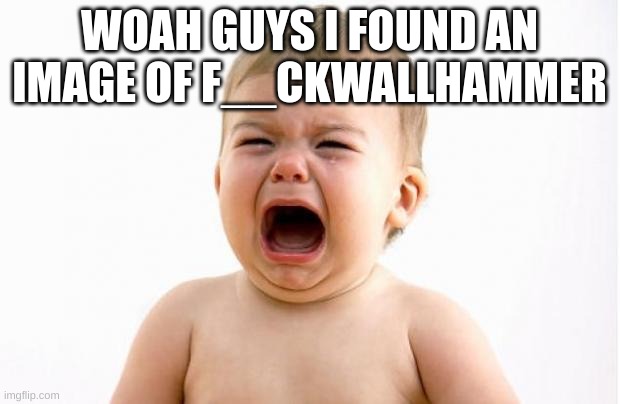 i legitimately want to treat them like a baby- | WOAH GUYS I FOUND AN IMAGE OF F__CKWALLHAMMER | made w/ Imgflip meme maker