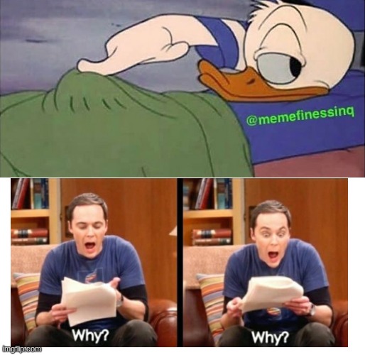 WHY | image tagged in but why why would you do that | made w/ Imgflip meme maker