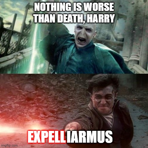 This is why Harry Potter won against Voldemort - Imgflip