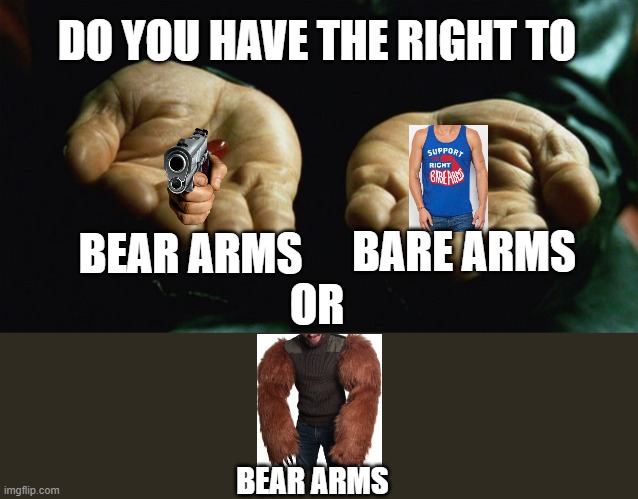 Which is it? | DO YOU HAVE THE RIGHT TO; BEAR ARMS; BARE ARMS; OR; BEAR ARMS | image tagged in red pill blue pill,memes,funny,funny memes,lol,lol so funny | made w/ Imgflip meme maker