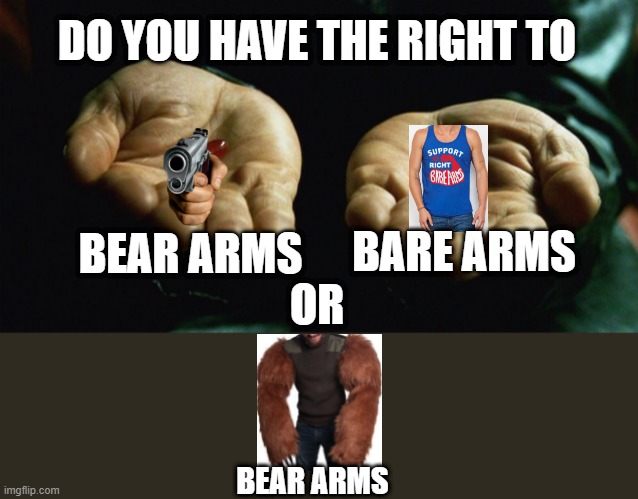 Never know which it is | DO YOU HAVE THE RIGHT TO; BEAR ARMS; BARE ARMS; OR; BEAR ARMS | image tagged in red pill blue pill,memes,funny memes,funny,lol,lol so funny | made w/ Imgflip meme maker