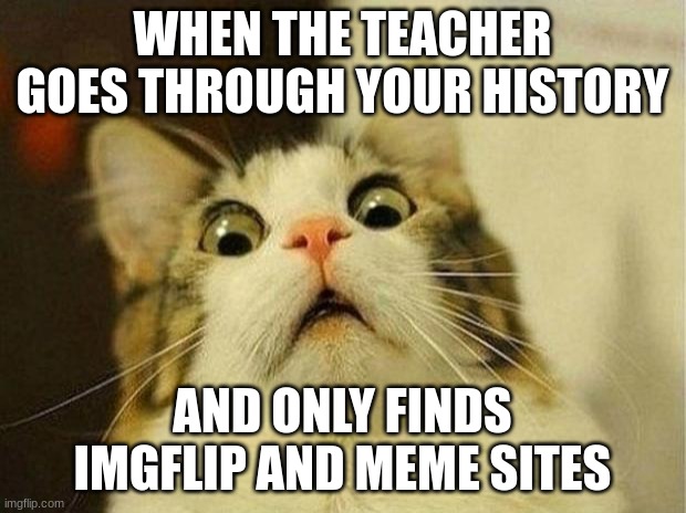 Scared Cat | WHEN THE TEACHER GOES THROUGH YOUR HISTORY; AND ONLY FINDS IMGFLIP AND MEME SITES | image tagged in memes,scared cat | made w/ Imgflip meme maker
