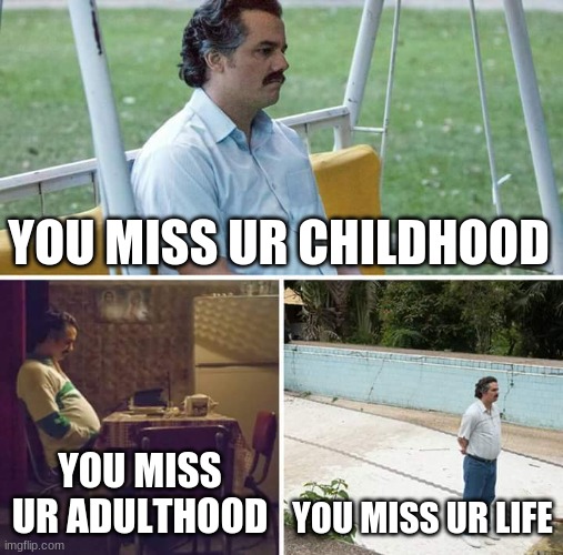 Sadness | YOU MISS UR CHILDHOOD; YOU MISS UR ADULTHOOD; YOU MISS UR LIFE | image tagged in memes,sad pablo escobar | made w/ Imgflip meme maker