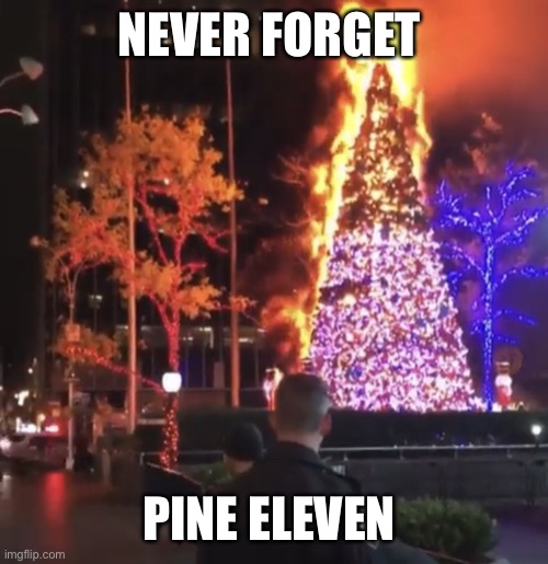 Christmas Tree On Fire | NEVER FORGET; PINE ELEVEN | image tagged in christmas tree on fire,political meme | made w/ Imgflip meme maker